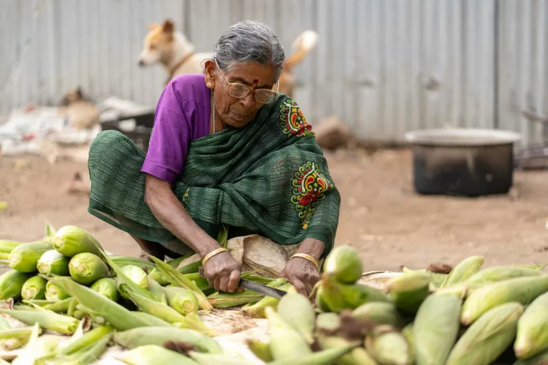 The Canvas Rebellion: How Pain Taught an Old Woman to Paint America