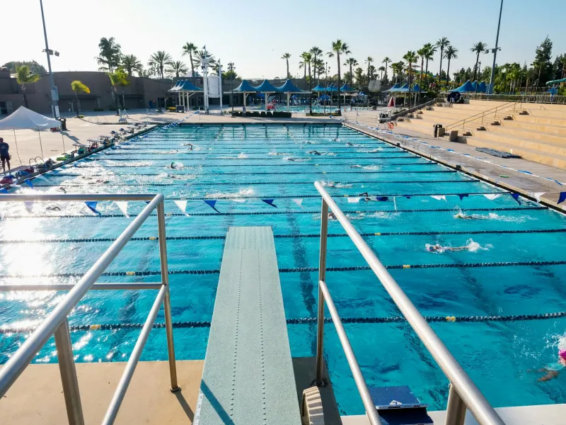 From Pool Deck to Operating Table: The Failed Swimmer Who Revolutionized How Athletes Heal
