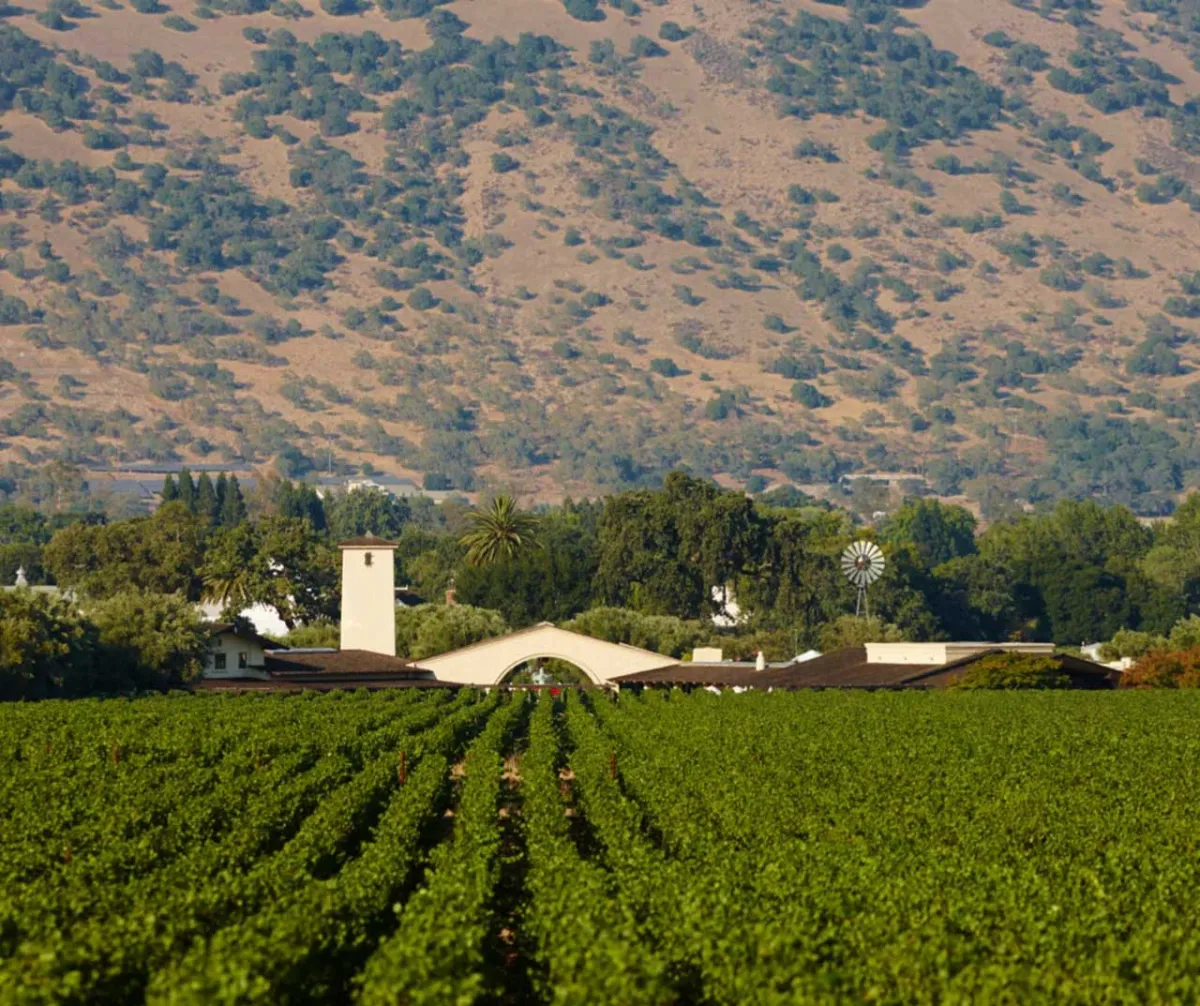 Robert Mondavi Winery