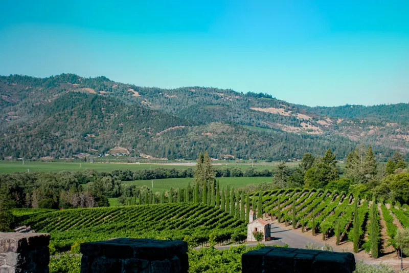 Laughed Out of the Room and Into the History Books: Robert Mondavi's Improbable Vintage